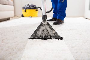 شركة تنظيف سجاد في الفجيرة