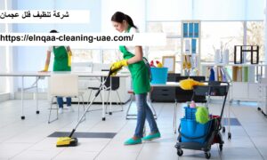 شركة تنظيف فلل عجمان