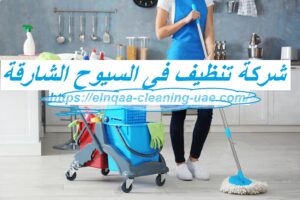 شركة تنظيف فى السيوح الشارقة