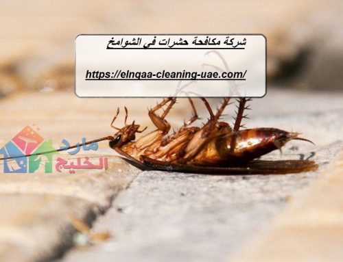 شركة مكافحة حشرات في الشوامخ |0545667540