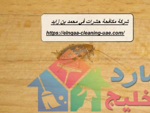 شركة مكافحة حشرات في محمد بن زايد